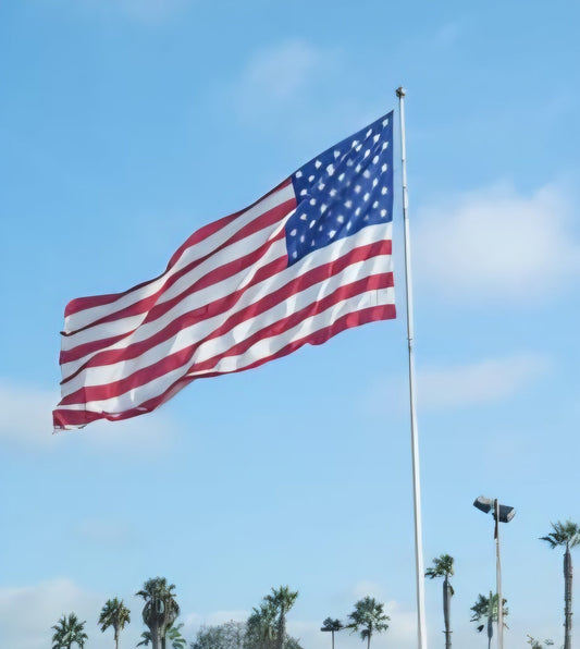 Independence Day Sale. Save 20%