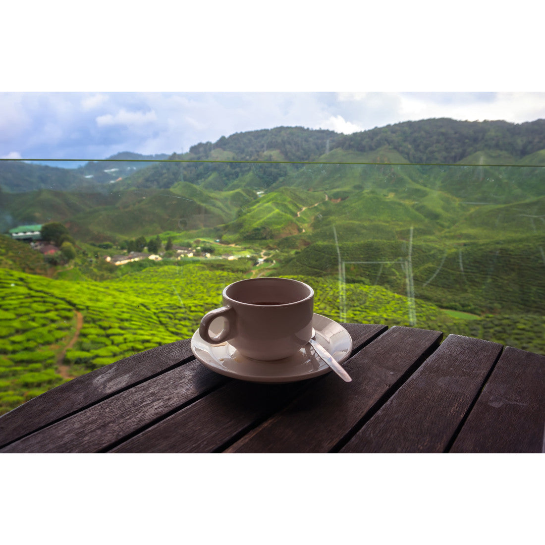 Cup of steaming GanoCelebrate Rooibos tea on a rustic wood plank table overlooking fields of green crops and rolling green hills. A small village is seen in the valley below.